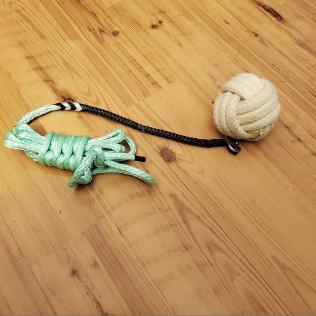 Image #1 from Zackarie